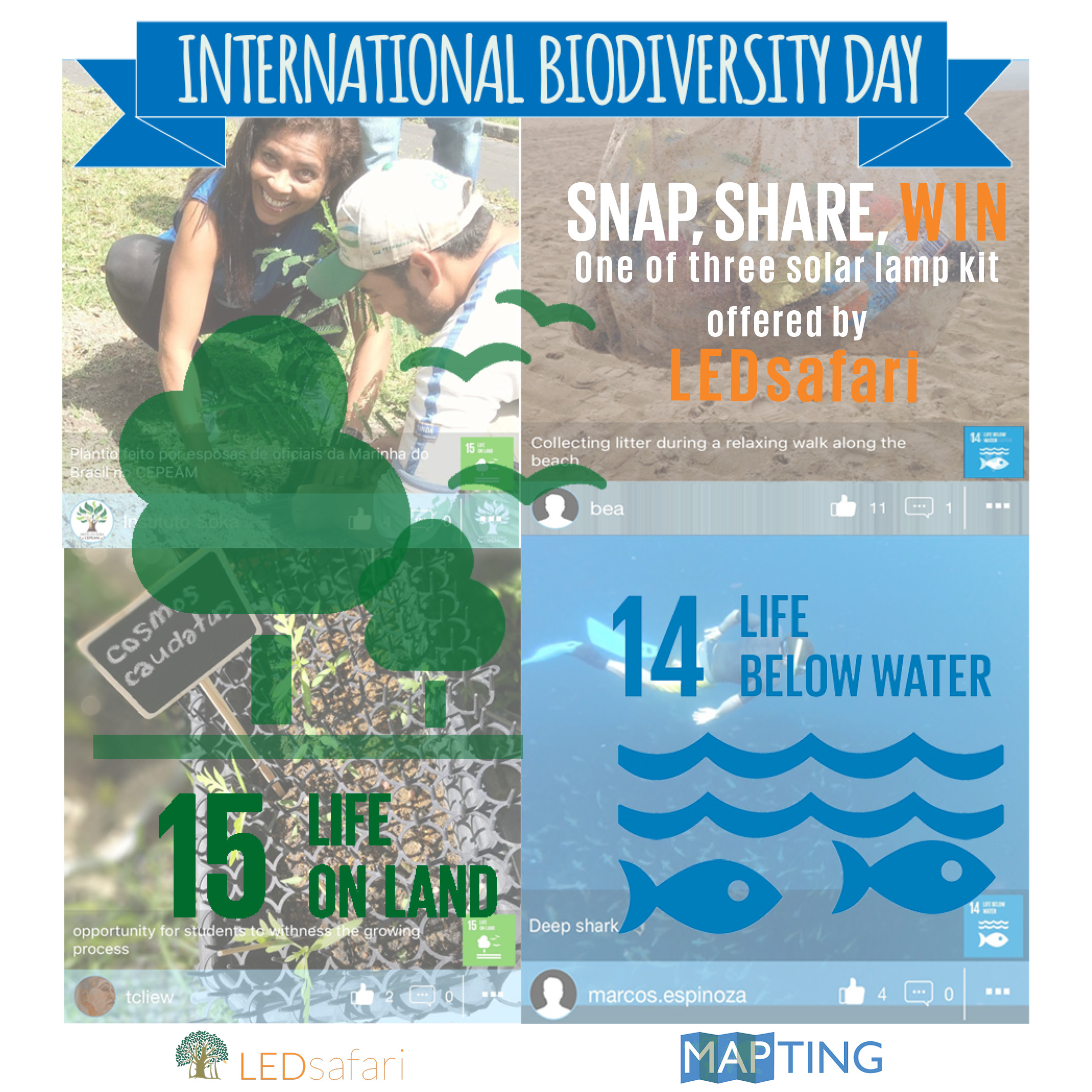 Photo Contest for International Biodiversity Day – Seeds of Hope and ...